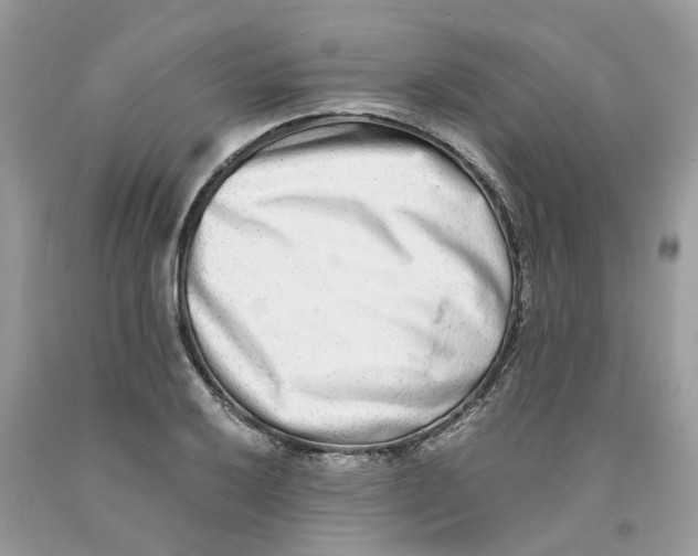 X0000091521032200709141411