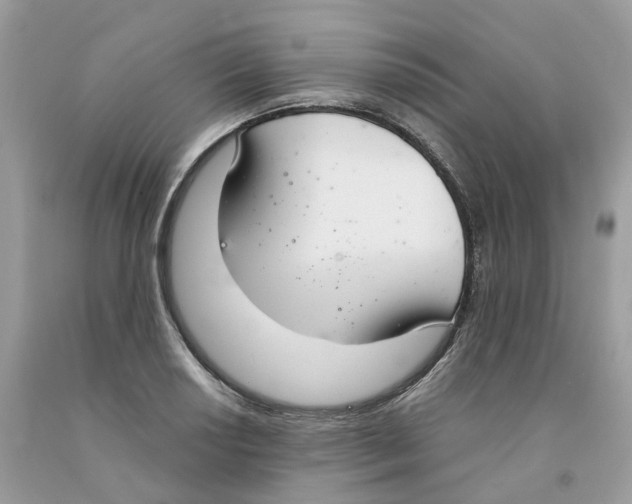 X0000091521034200709141411