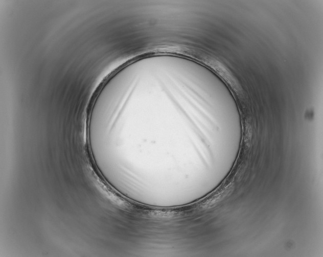 X0000091521036200709141411