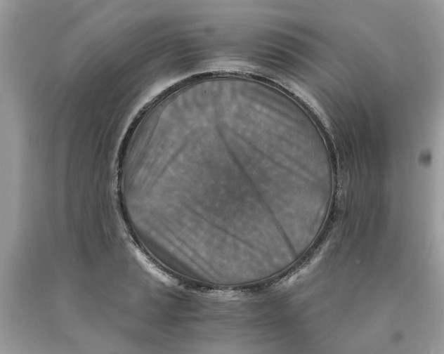 X0000091521037200709141411