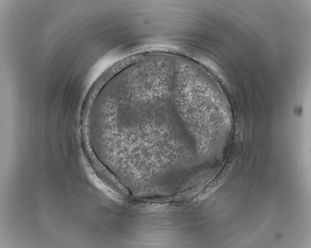 X0000091521038200709141411