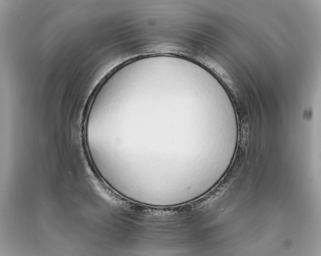 X0000091521039200709141411