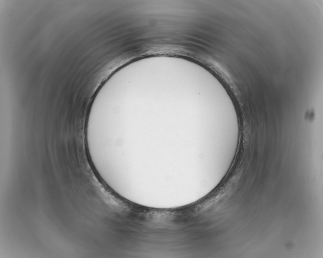 X0000091521041200709141411