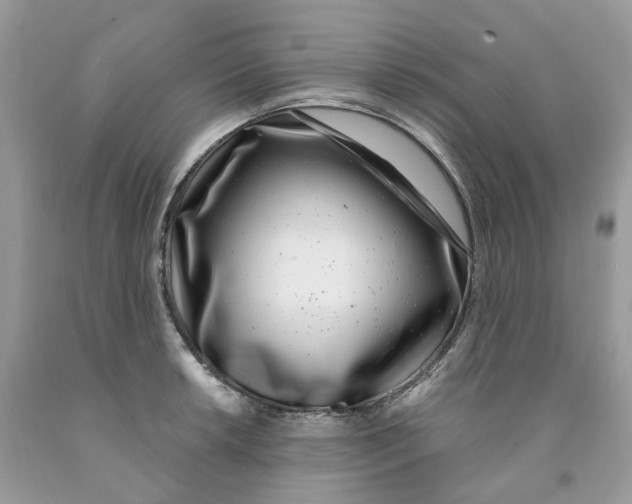 X0000091521042200709141411