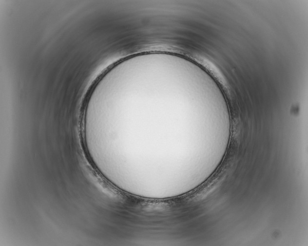 X0000091521043200709141411