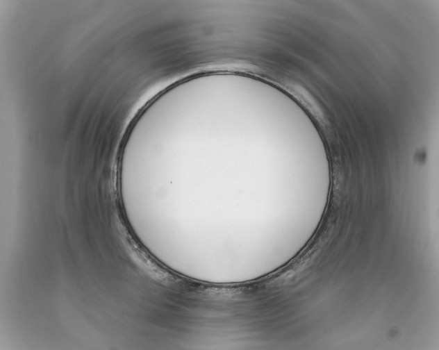 X0000091521044200709141411