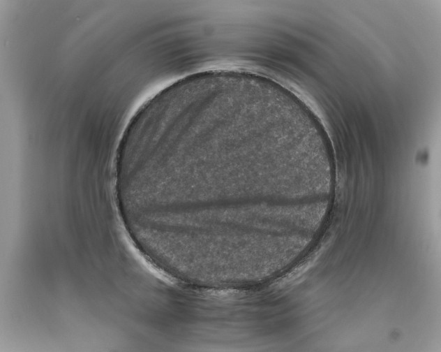 X0000091521045200709141411