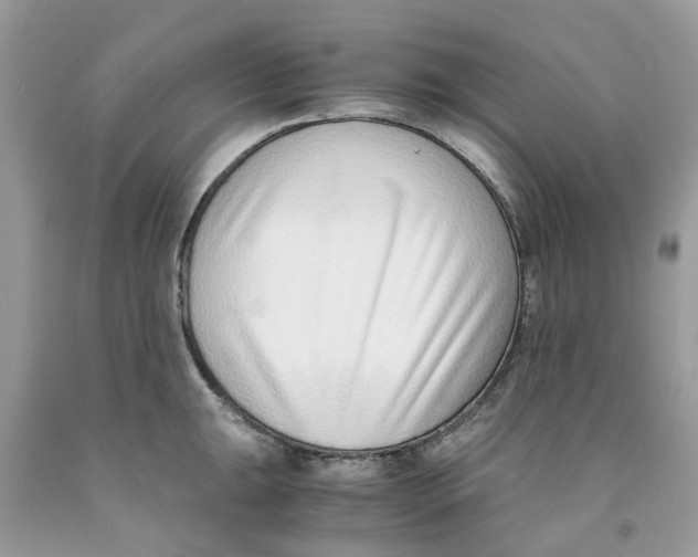 X0000091521047200709141411