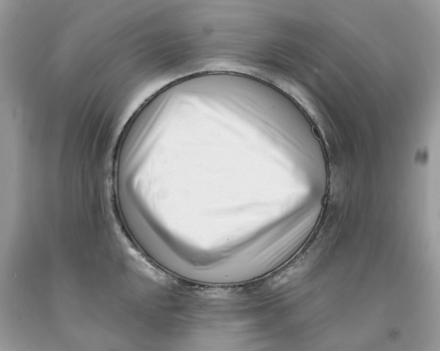 X0000091521048200709141411