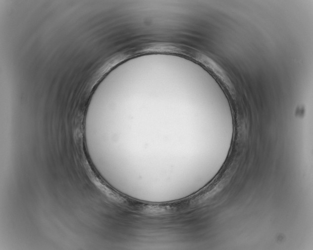 X0000091521049200709141411