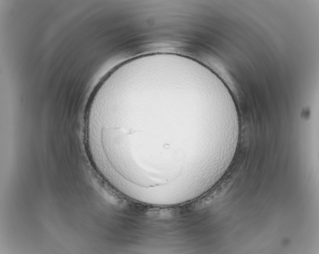 X0000091521051200709141411