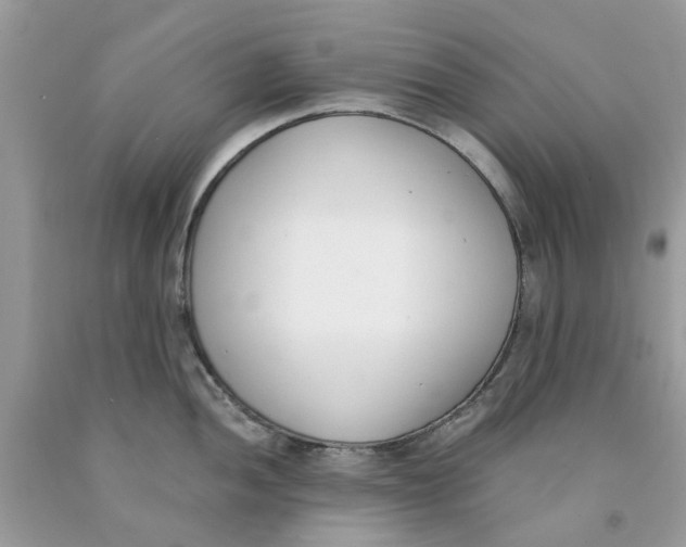 X0000091521052200709141411