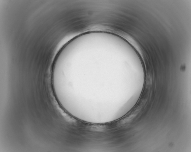 X0000091521053200709141411