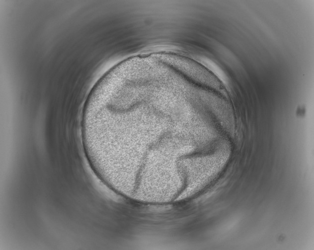 X0000091521055200709141411