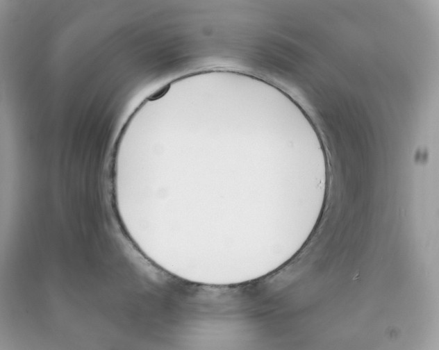 X0000091521056200709141411