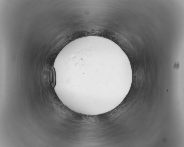 X0000091521058200709141410