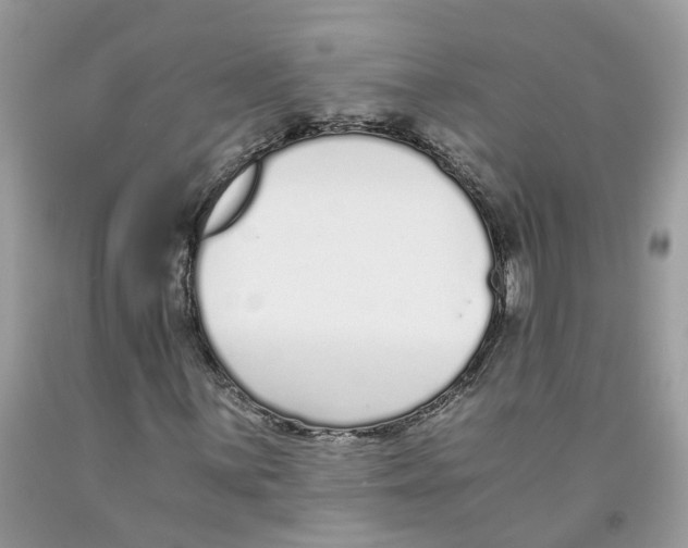 X0000091521059200709141410