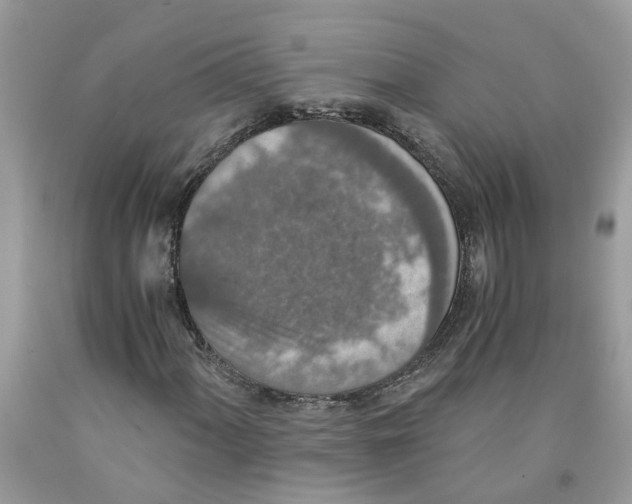 X0000091521060200709141410