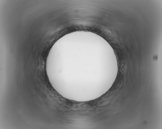 X0000091521061200709141410