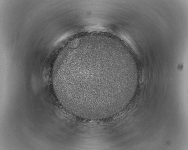 X0000091521063200709141410