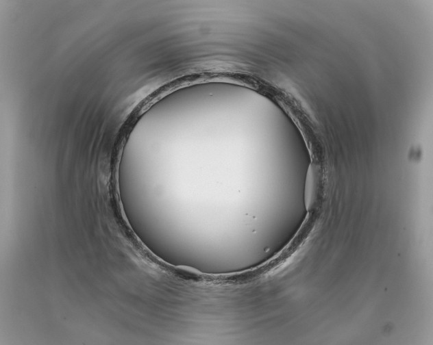 X0000091521065200709141410