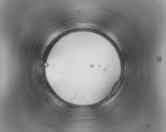 X0000091521067200709141410