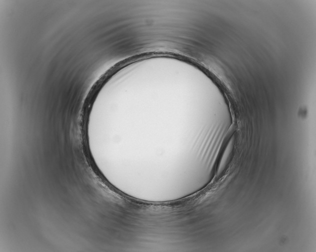 X0000091521068200709141410