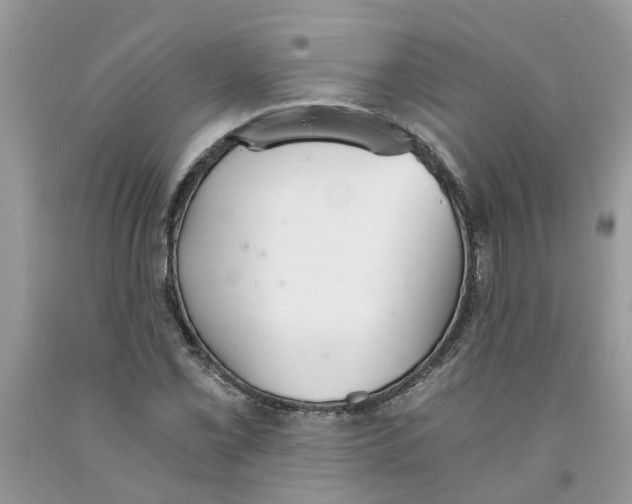 X0000091521069200709141410