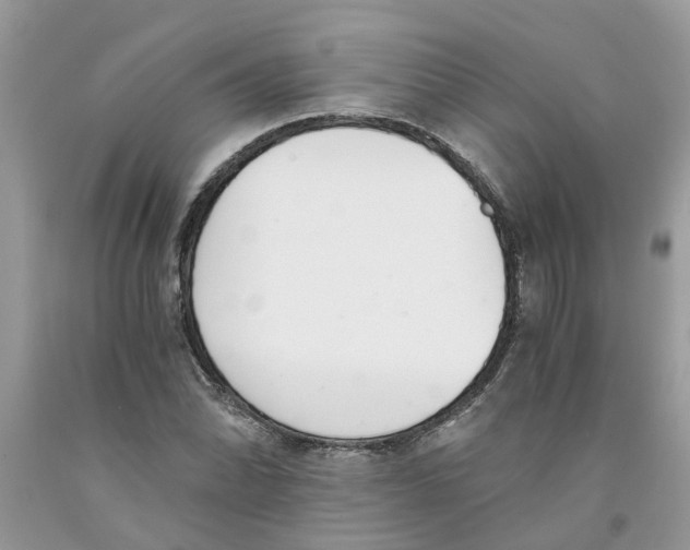 X0000091521070200709141410