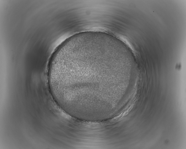 X0000091521071200709141410