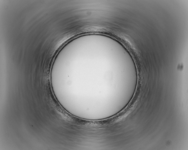 X0000091521073200709141410