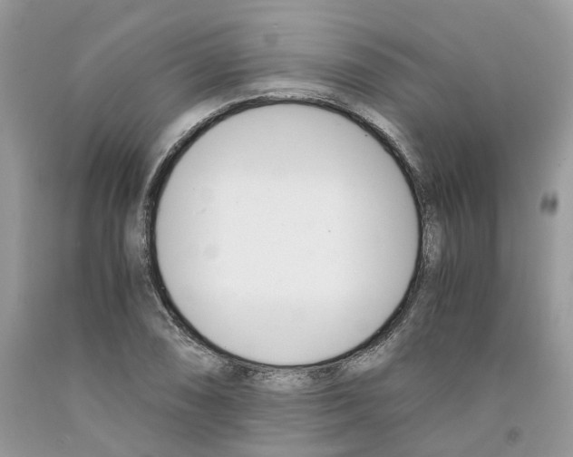 X0000091521074200709141410