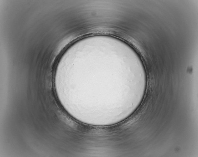 X0000091521075200709141410