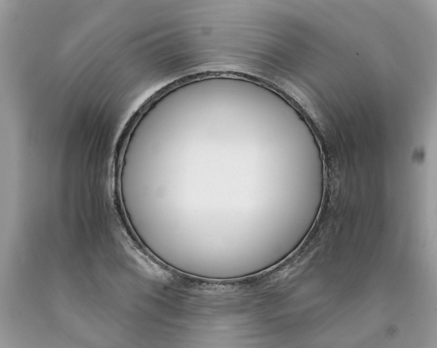 X0000091521076200709141410