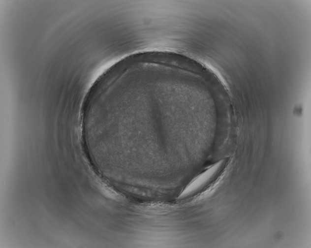 X0000091521077200709141410