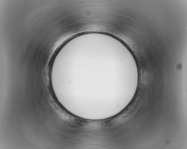 X0000091521078200709141410