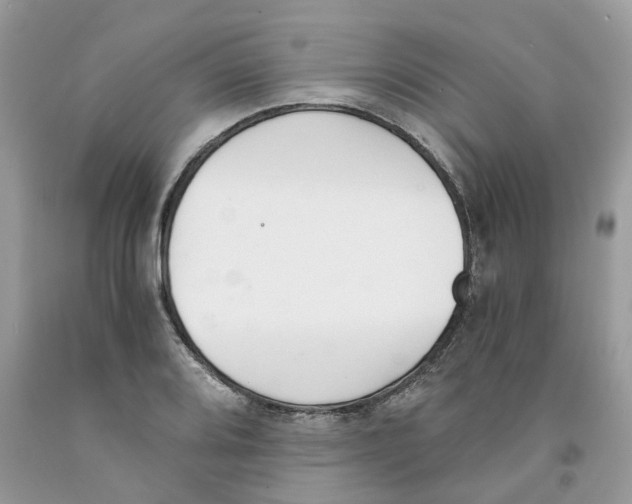 X0000091521080200709141410