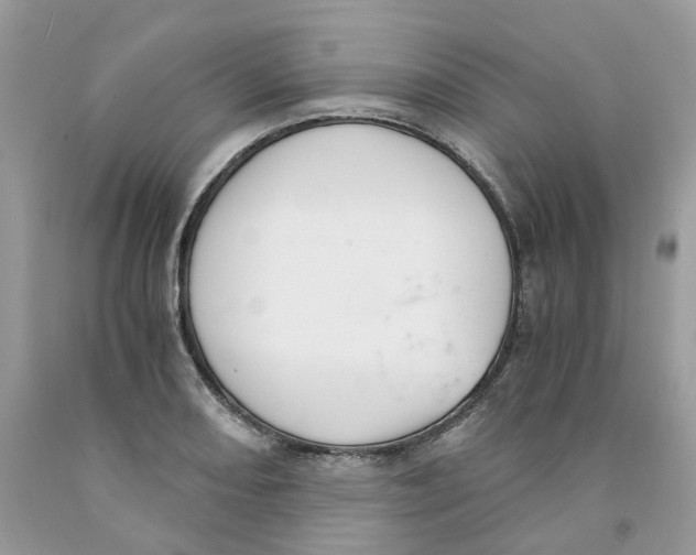 X0000091521082200709141410