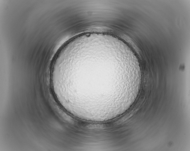 X0000091521083200709141410