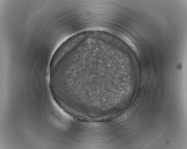 X0000091521084200709141410