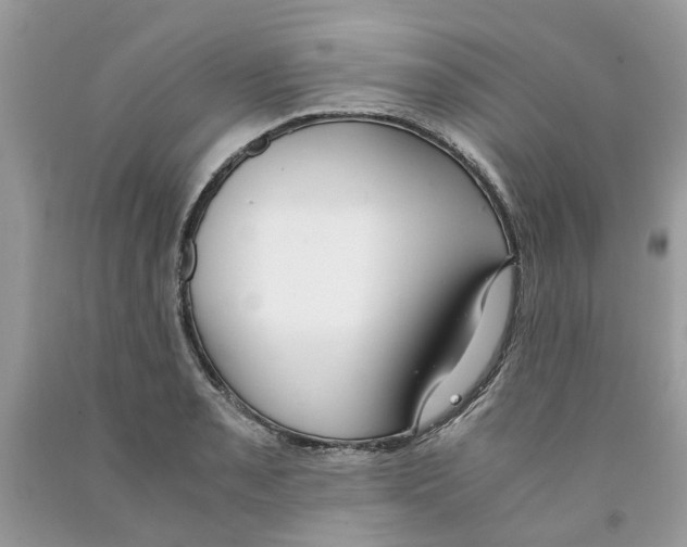 X0000091521085200709141410