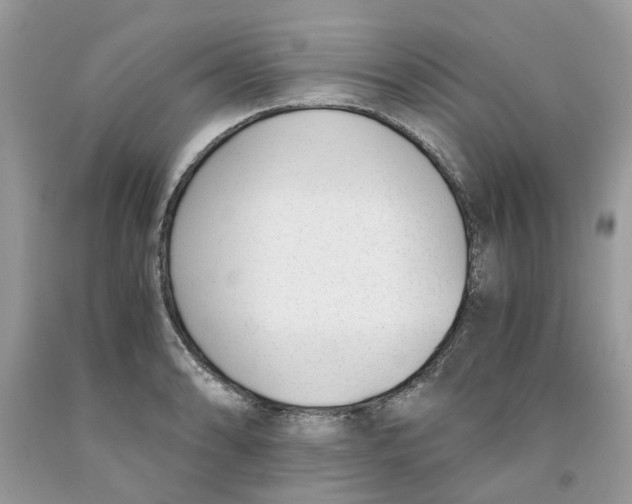 X0000091521086200709141410