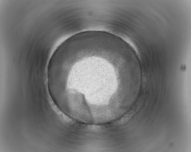 X0000091521088200709141410