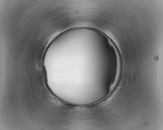 X0000091521089200709141410