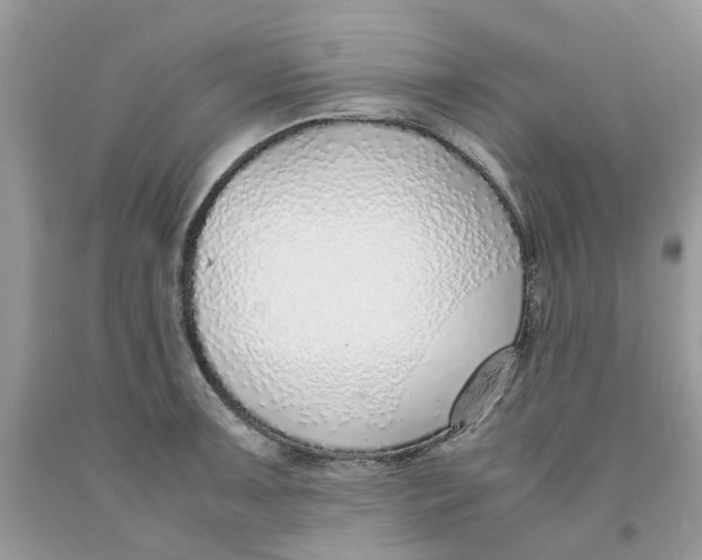 X0000091521091200709141410