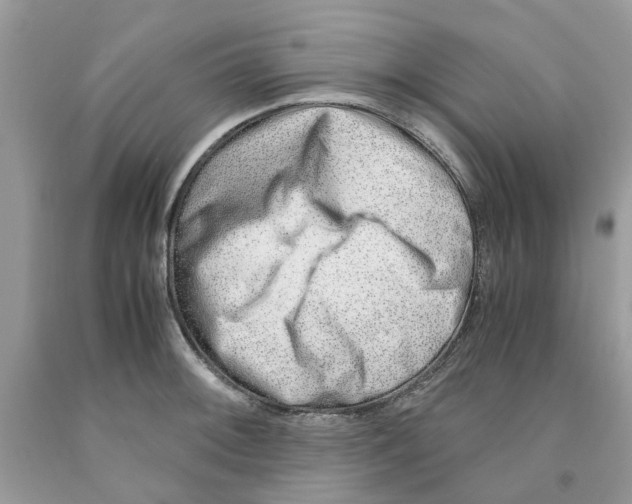 X0000091521092200709141410