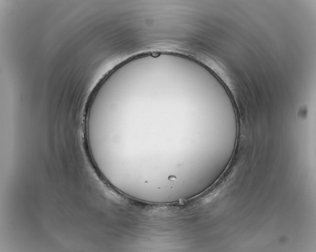 X0000091521093200709141410