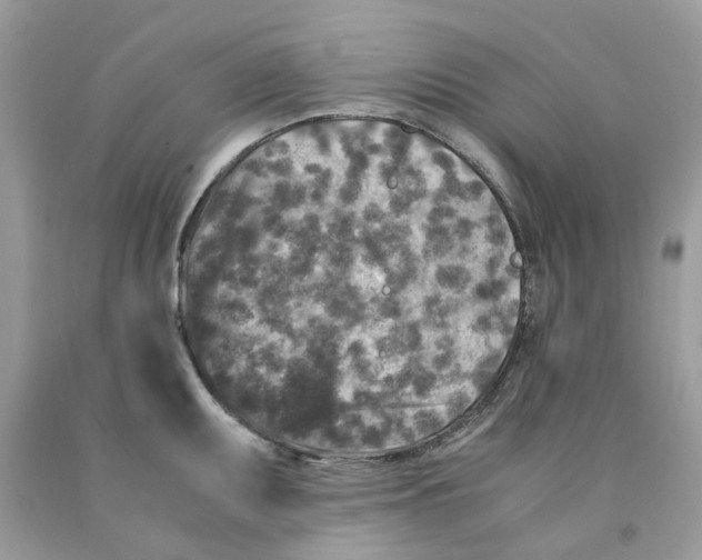 X0000091521095200709141410