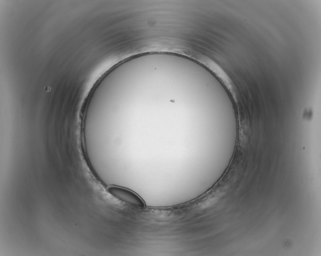 X0000091521096200709141410