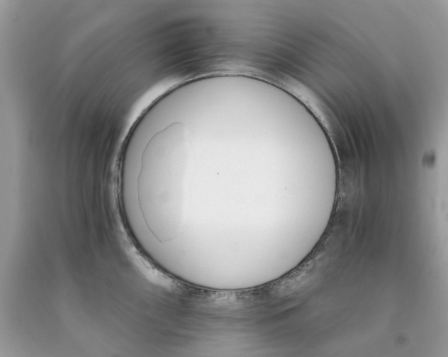 X0000091521098200709141410